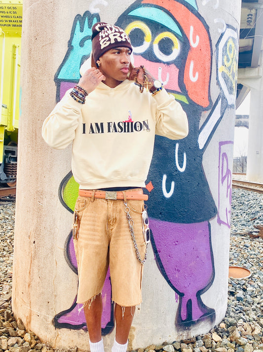 "𝕀 𝔸𝕄 𝔽𝔸𝕊ℍ𝕀𝕆ℕ" 𝔸𝕡𝕣𝕚𝕔𝕠𝕥 𝕊𝕥𝕣𝕖𝕖𝕥 𝔾𝕣𝕒𝕗𝕗𝕚𝕥𝕚 𝔹𝕠𝕩𝕪 ℍ𝕠𝕠𝕕𝕚𝕖